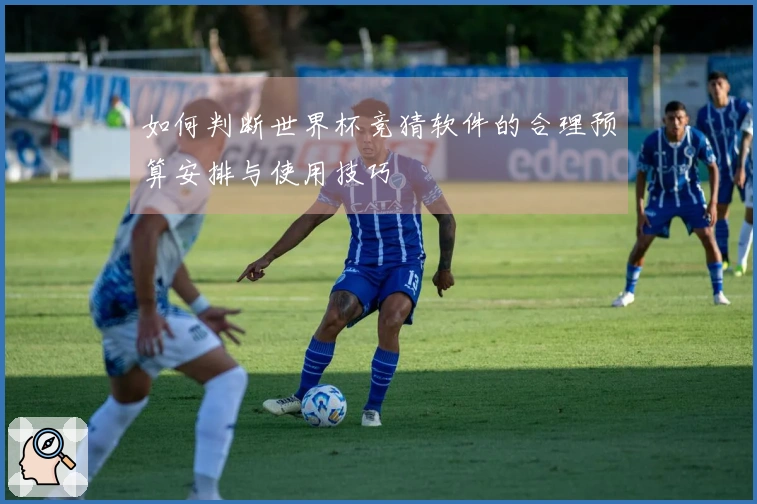 如何判断世界杯竞猜软件的合理预算安排与使用技巧