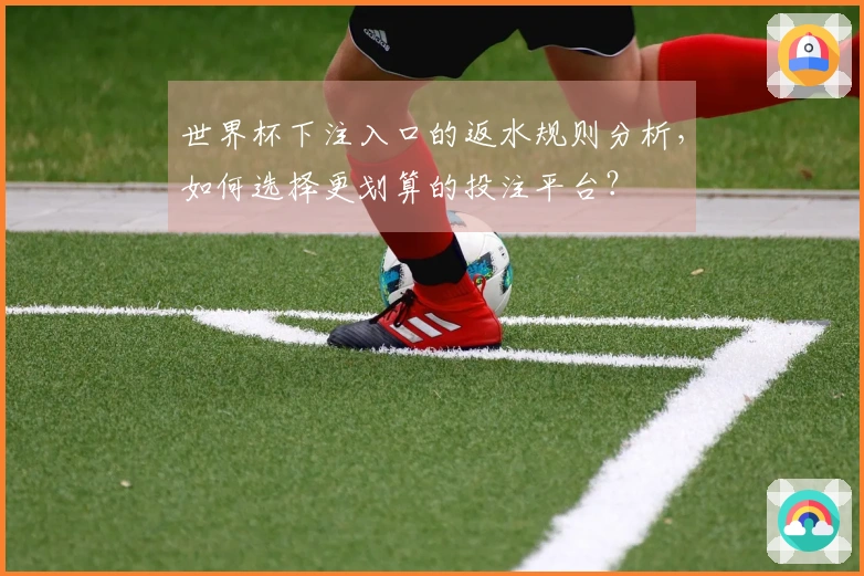 世界杯下注入口的返水规则分析，如何选择更划算的投注平台？