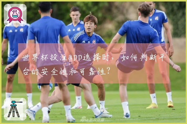 世界杯投注app选择时，如何判断平台的安全性和可靠性？