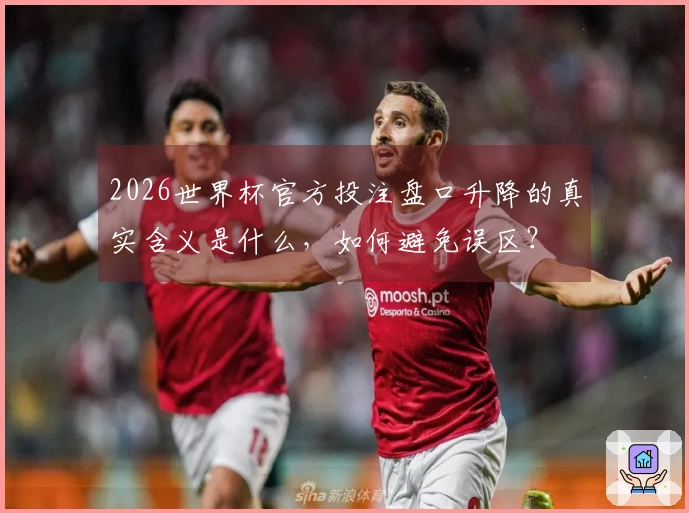2026世界杯官方投注盘口升降的真实含义是什么，如何避免误区？